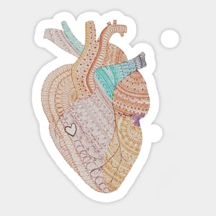 Anatomical Heart Sticker